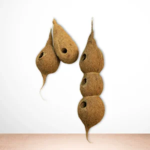 Coir Bird Nest