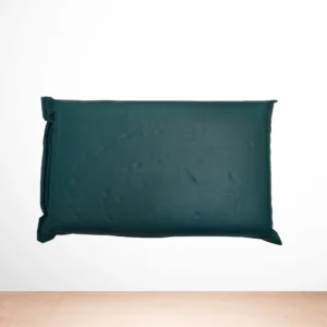 Rubberised Coir Pillows With Rexine Cover