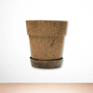 Coir Pot With Tray