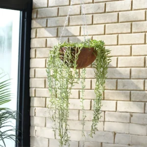 Hanging Basket