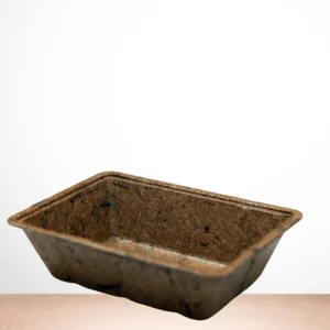 MicroGreen Tray - 2.4” x 5” x 7”