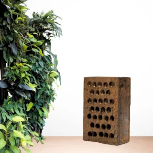 Green Wall - 18" x 24"